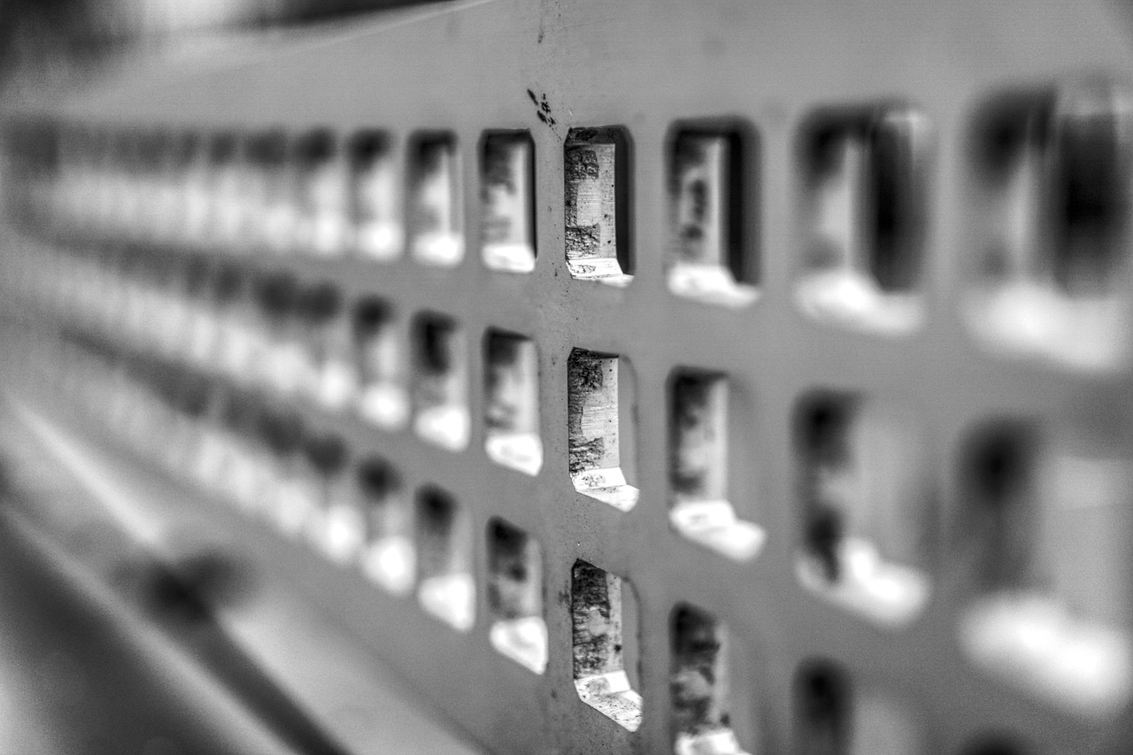 鄭萬高鐵云陽最新動態(tài)更新