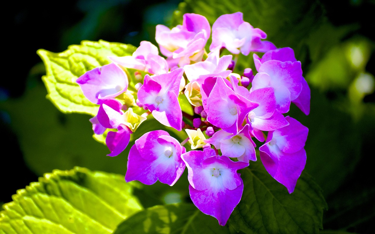 李景文將軍的最新動(dòng)態(tài)，軍事生涯與卓越貢獻(xiàn)概述