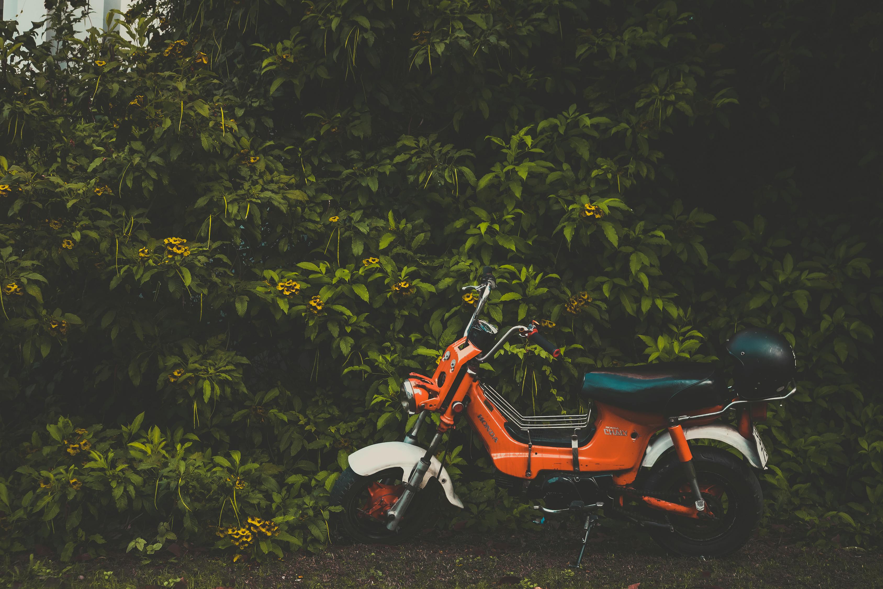 五羊本田鷙引領(lǐng)新時(shí)代摩托車技術(shù)革新，最新消息揭秘