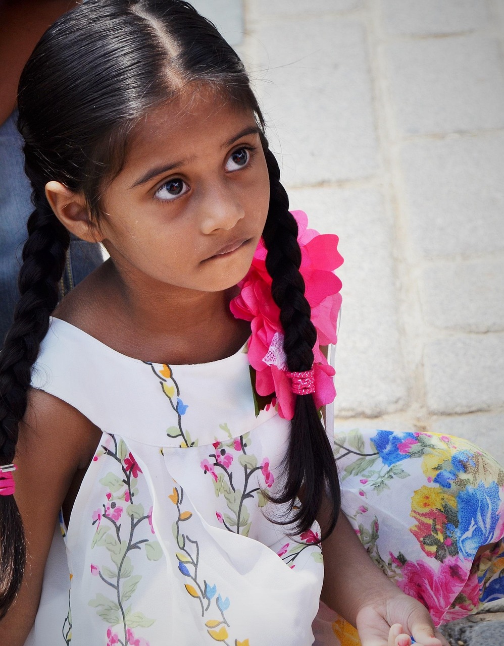 張佳寧最新力作電視劇，品質(zhì)與魅力的完美融合