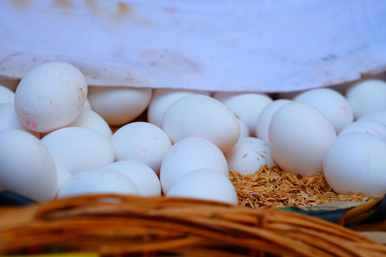 杭州網(wǎng)約車最新動態(tài)，行業(yè)變革與未來展望