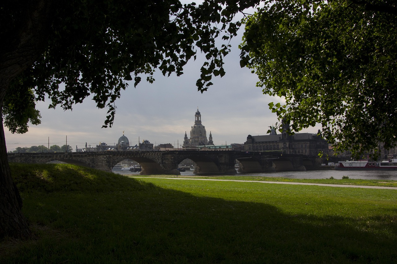 成華圣燈公園最新進(jìn)展，城市綠色心臟蓬勃生長(zhǎng)