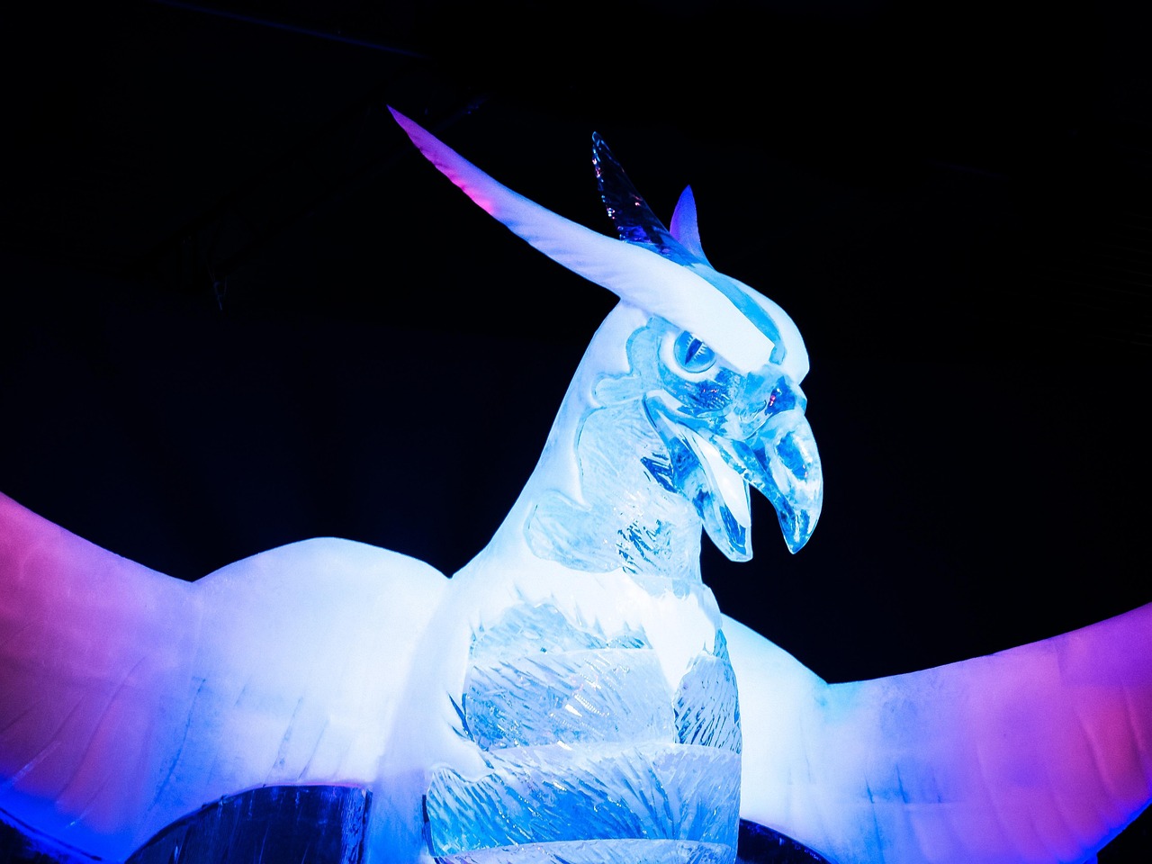 內蒙古王東偉最新動態(tài)，揭開神秘面紗，展現新時代風采