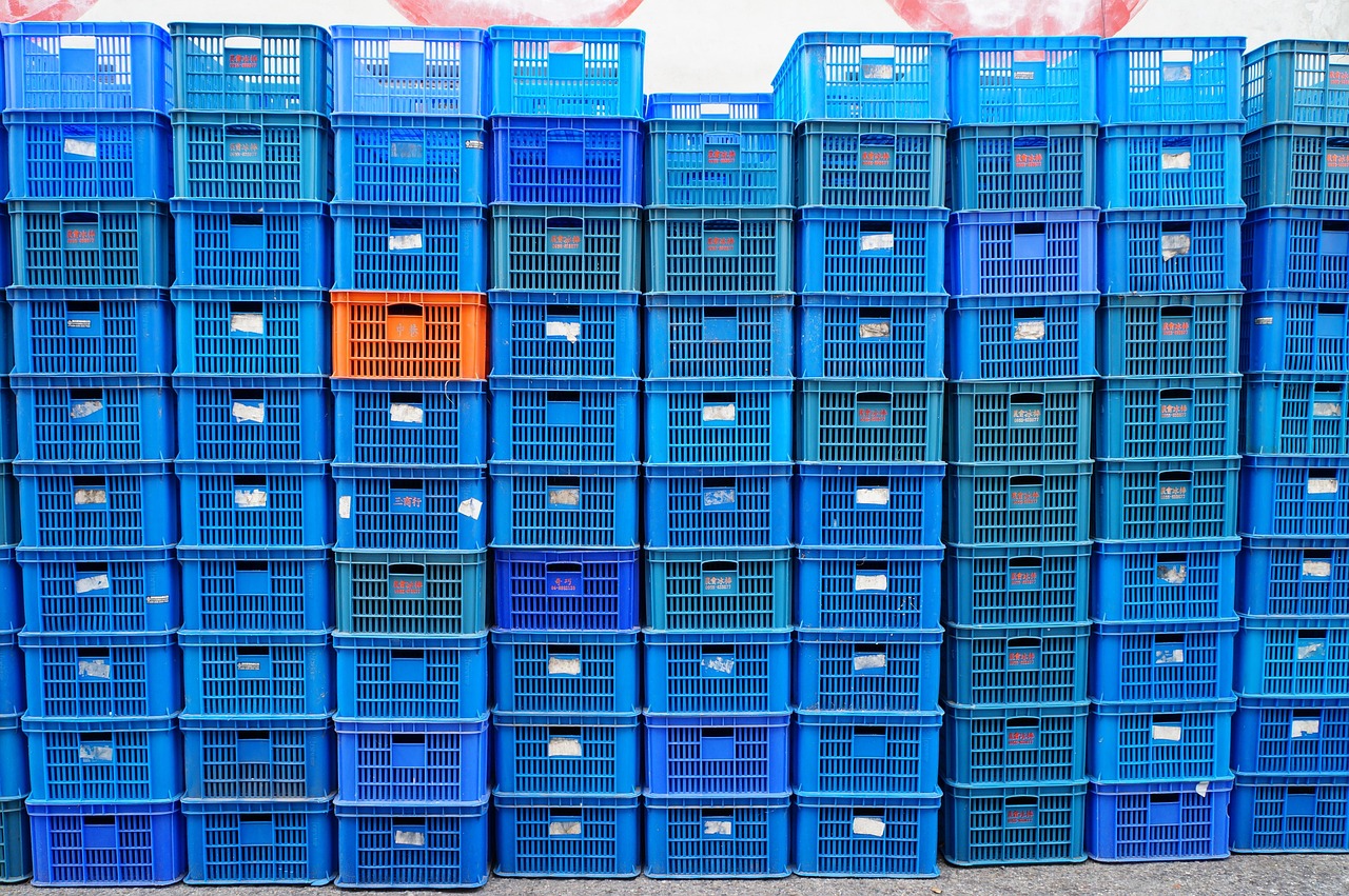 平頂山單知偉，城市發(fā)展的見證者與創(chuàng)新引領者的最新動態(tài)