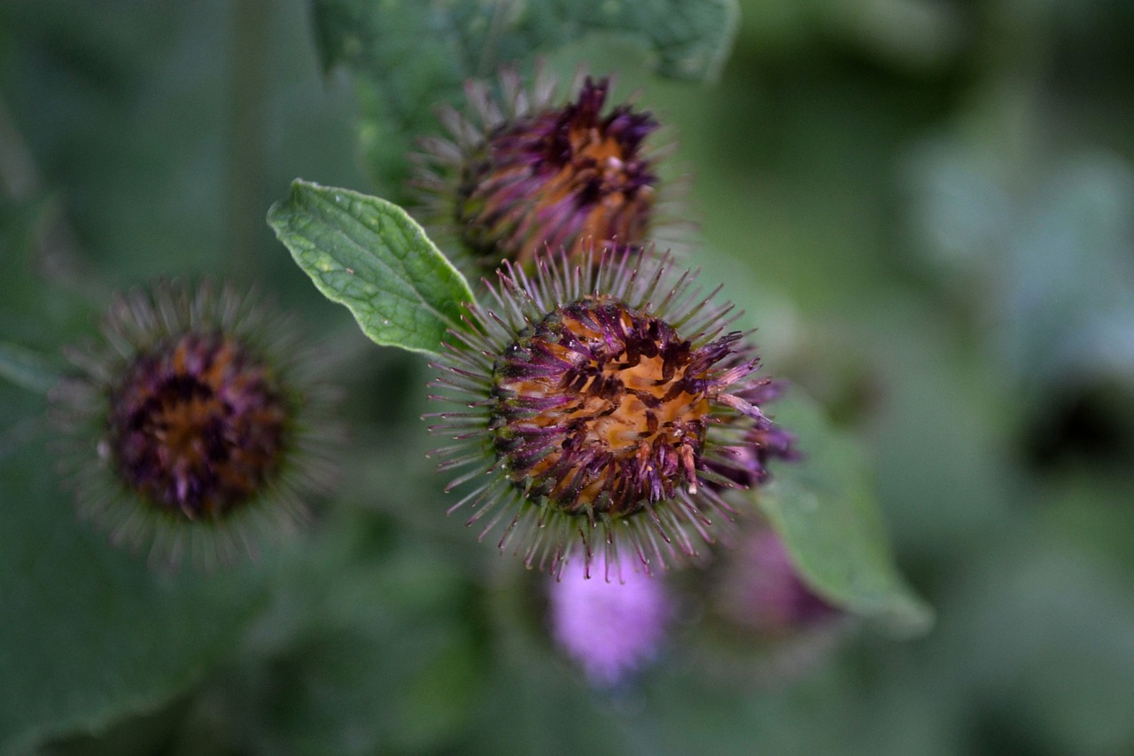 蕪湖市三山區(qū)最新招聘信息概覽，最新職位與招聘動態(tài)全解析