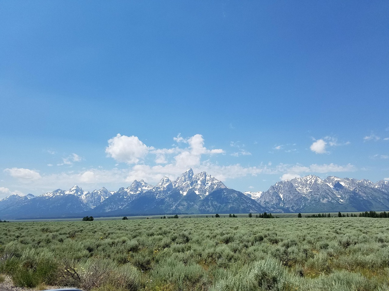 崀山犬木塘庫最新動(dòng)態(tài)，揭開神秘面紗下的壯麗景象揭秘