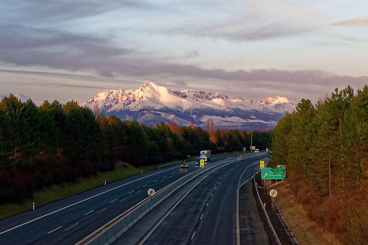 沈陽地鐵10號(hào)線最新線路圖概覽，最新線路圖一覽無余