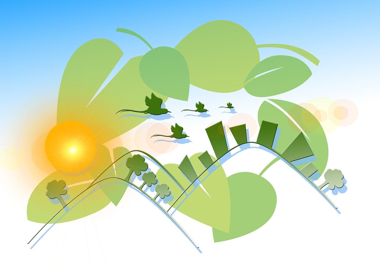 ST長(zhǎng)油新三板動(dòng)態(tài)，最新消息與深度解析