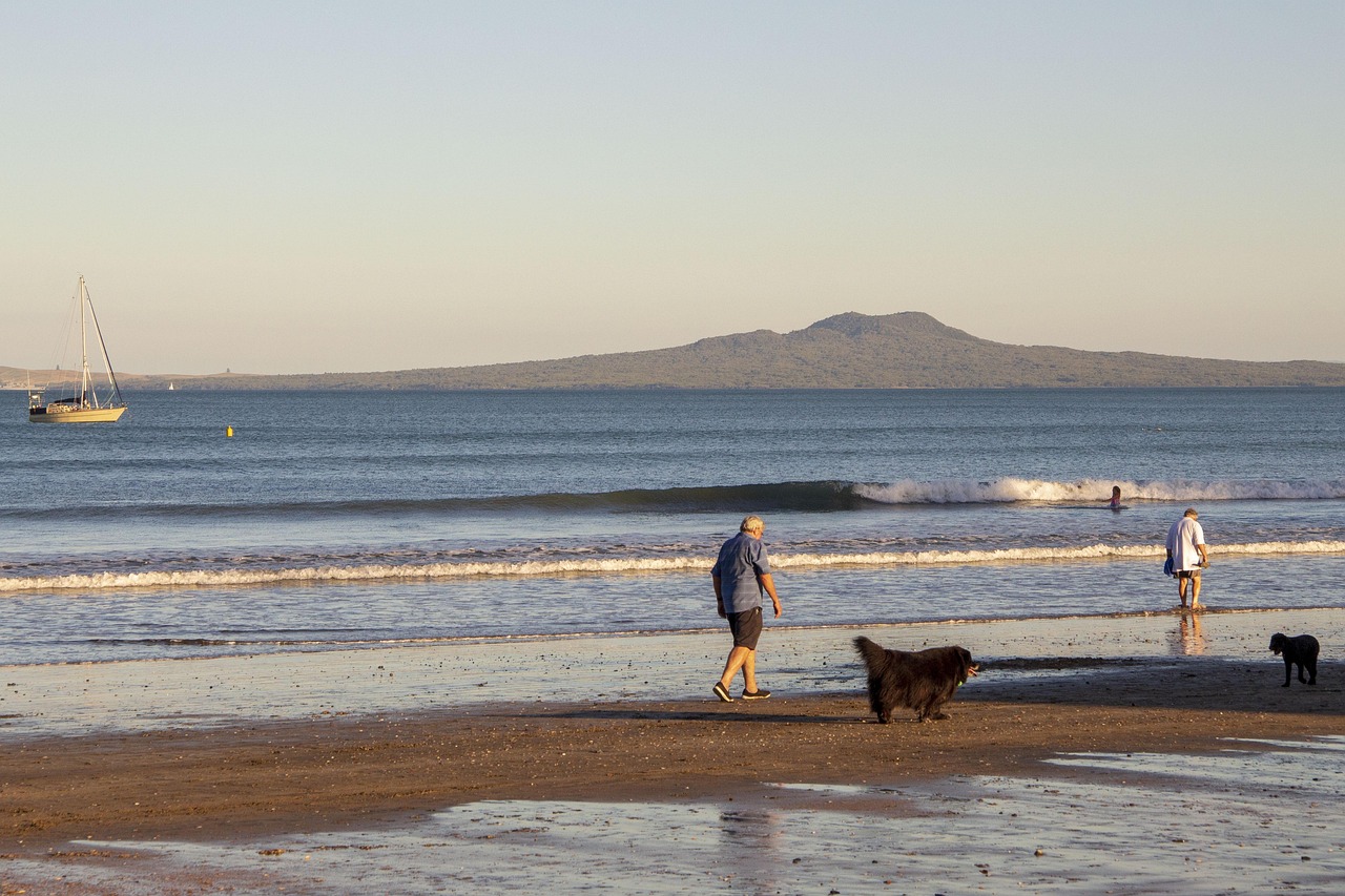 山西退休職工養(yǎng)老金調(diào)整最新動態(tài)，改革進(jìn)展、未來展望與調(diào)整消息速遞