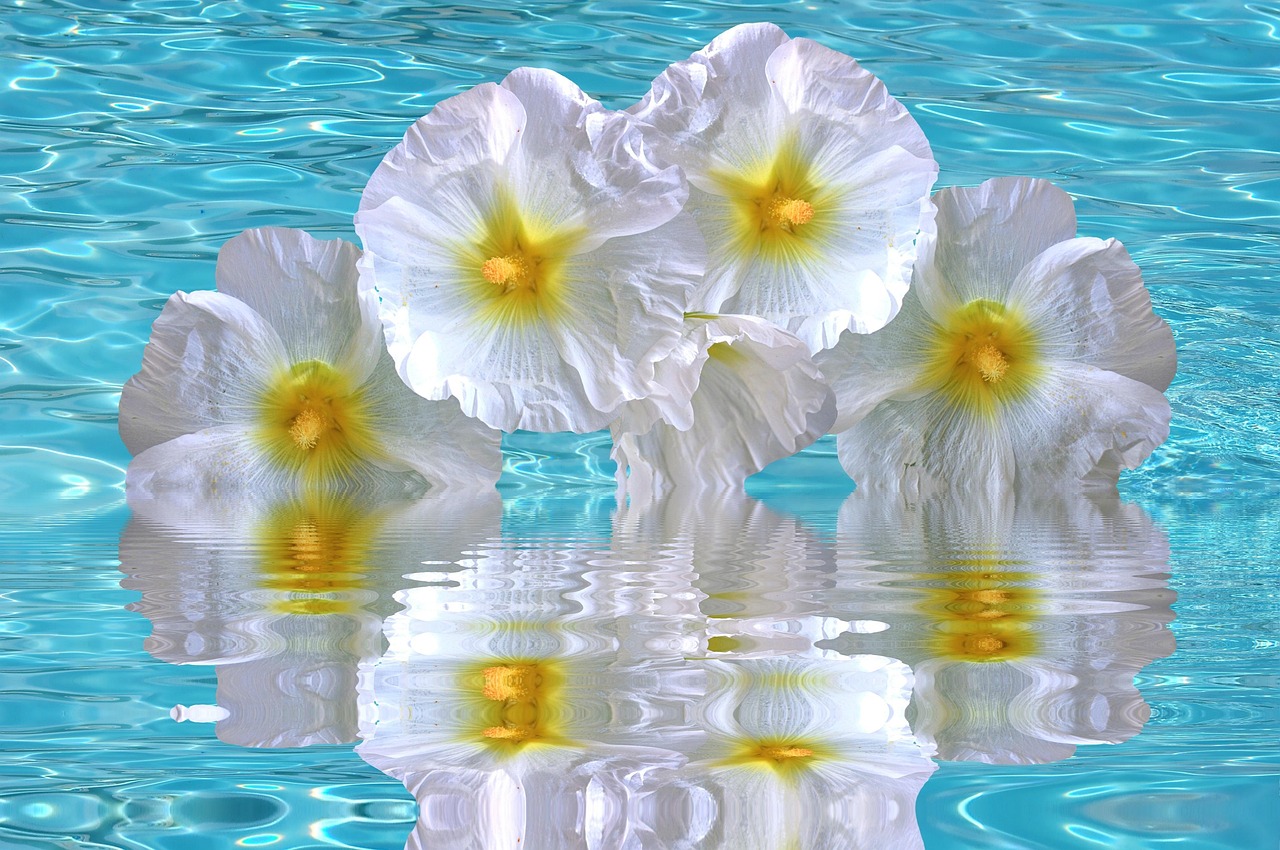 加勒比海域動(dòng)態(tài)更新，海盜活動(dòng)頻繁，警惕性需提升（最新報(bào)告 06月15日）