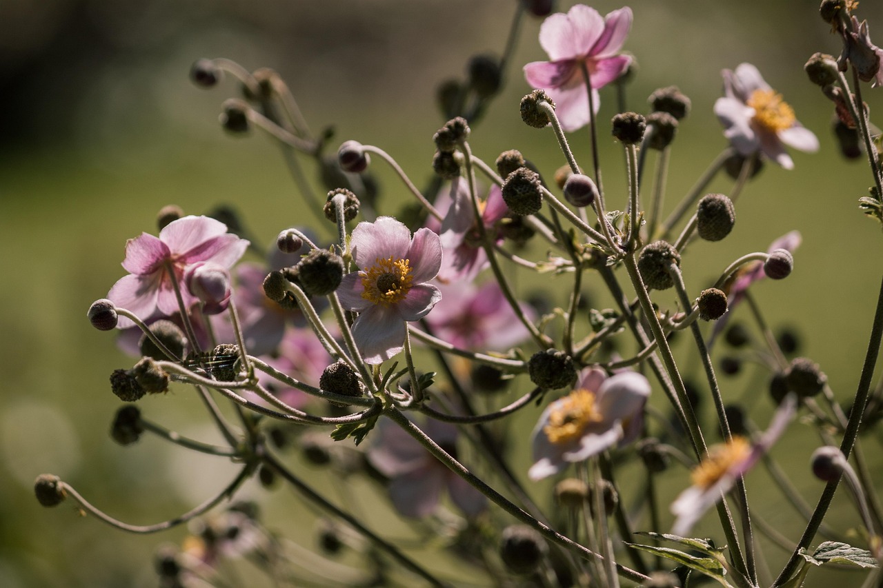 最新獲取信息資源及其影響，探索前沿領(lǐng)域的最新動態(tài)
