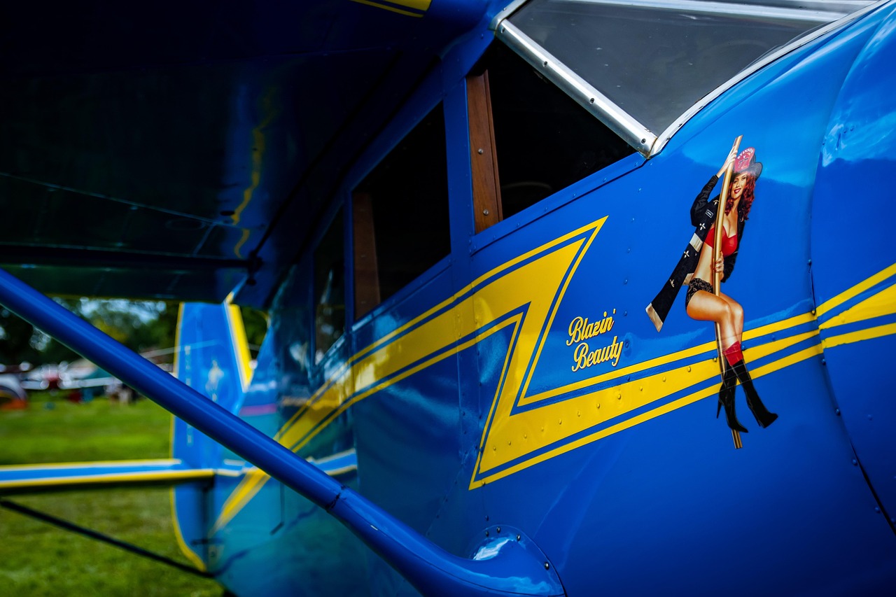 革新觀影體驗(yàn)，最新視頻app帶你飛！