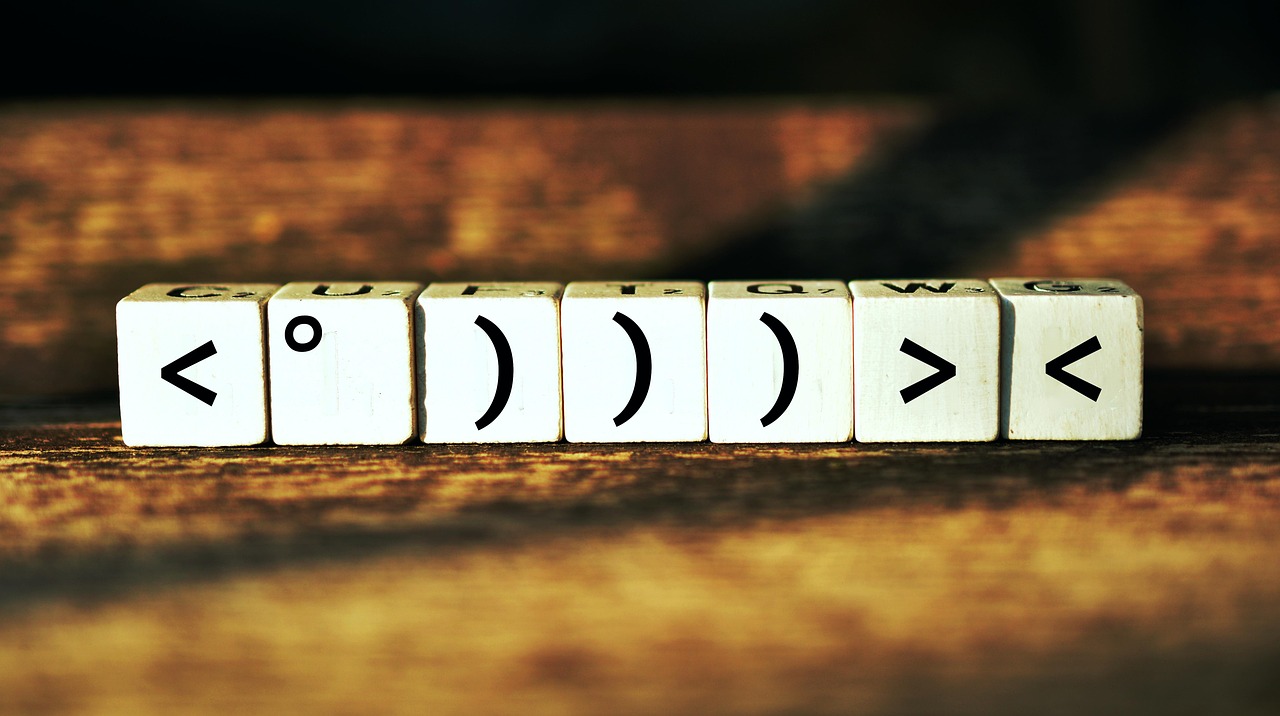 揭秘武警最新肩章，榮譽(yù)與職責(zé)的象征標(biāo)志